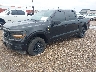 1FTEW2KP7SK****** Used and Repairable 2025 Ford F-150 in Corpus Christi