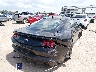 1FA6P8CF6S5****** Salvamento y Destrozados 2025 Ford Mustang en Estado de Texas