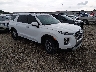 KM8R24HE2LU****** Salvage and Wrecked 2020 Hyundai Palisade in Fayetteville
