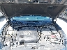 1N4AA6AV3KC****** Repairable 2019 Nissan Maxima in Austin North
