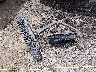 1C4PJLDB8LD****** Destrozados 2020 Jeep Cherokee en Estado de Oklahoma