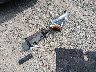 3N1CP5CU9KL****** Wrecked 2019 Nissan Kicks in Ohio State