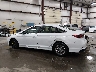 5NPE24AF1KH****** Salvamento 2019 Hyundai Sonata