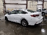 5NPE24AF1KH****** Salvamento y Reparables 2019 Hyundai Sonata en Boise