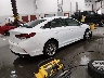5NPE24AF1KH****** Salvamento y Destrozados 2019 Hyundai Sonata en Estado de Idaho