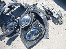 WMW23GD05T2****** Repairable 2026 MINI Hardtop