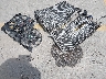 3VV1B7AXXJM****** Destrozados 2018 Volkswagen Tiguan en Estado de Texas