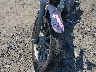 1HD4CAM145K****** Salvage 2005 Harley-Davidson Sportster 883