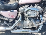 1HD4CAM145K****** Wrecked 2005 Harley-Davidson Sportster 883 in Rec Rides Online Exclusive