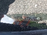1HGCP2F82CA****** Reparables 2012 Honda Accord