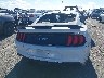 1FA6P8CF2L5****** Destrozados 2020 Ford Mustang