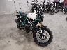ME3HAN475SK****** Salvage and Wrecked 2025 Royal Enfield INT Bear 650 in Rec Rides Online Exclusive