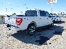 1FTFW1E50PK****** Salvage and Wrecked 2023 Ford F-150 in New Mexico State
