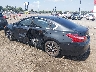 1N4AL3AP1GC****** Salvage and Repairable 2016 Nissan Altima in Little Rock