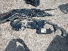 1FA6P8TH0G5****** Destrozados 2016 Ford Mustang en Estado de Oklahoma