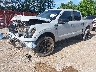 1FTFW1E54PF****** Used and Repairable 2023 Ford F-150 in Longview