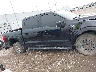 1FTFW1C51NK****** Reparables 2022 Ford F-150 en Estado de Texas