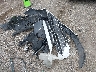 5NPD84LF1LH****** Wrecked 2020 Hyundai Elantra in Indiana State