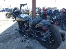 56KMTD000N3****** Salvage and Repairable 2022 Indian Scout Rogue in Rec Rides Online Exclusive