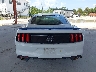 1FA6P8CF1H5****** Salvamento y Reparables 2017 Ford Mustang en Tampa
