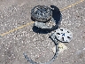1FMCU0F76FU****** Destrozados 2015 Ford Escape en Estado de Texas