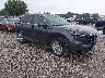 2HKRS4H45RH****** Salvage and Wrecked 2024 Honda CR-V in Springfield