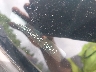 KNDJT2A65D7****** Usados 2013 Kia Soul en Gulf Coast