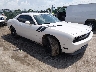 2B3LJ54T09H****** Salvamento y Destrozados 2009 Dodge Challenger en Wichita