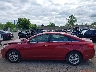 5NPEB4AC6DH****** Reparables 2013 Hyundai Sonata en Estado de Nueva York