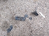 5N1DL0MM7KC****** Wrecked 2019 Infiniti QX60 in Colorado State