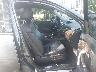 2HNYD2H26CH****** Usados y Reparables 2012 Acura MDX en Estado de Virginia