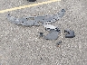 58AD11D16MU****** Destrozados 2021 Lexus ES 250 en Estado de Connecticut
