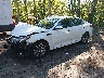 5XXGT4L3XKG****** Used and Repairable 2019 Kia Optima in Suffolk