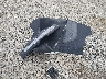 5NPLM4AG8PH****** Wrecked 2023 Hyundai Elantra in Georgia State
