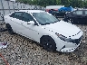 5NPLM4AG8PH****** Salvage and Wrecked 2023 Hyundai Elantra in Tifton