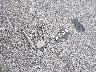 5UXFE83558L****** Wrecked 2008 BMW X5 in Arkansas State