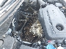 5NPE24AF8KH****** Salvamento y Reparables 2019 Hyundai Sonata en Estado de Illinois