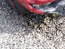 3JBUVAX44RK****** Salvamento 2024 Can-Am Defender/Traxter
