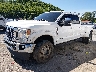 1FT8W4DTXLE****** Used and Repairable 2020 Ford F-450 in Buckhannon