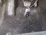 3FA6P0H7XER****** Salvage 2014 Ford Fusion in Colorado State