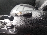 1FM5K8D84HG****** Salvamento 2017 Ford Explorer en Estado de Colorado
