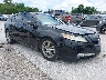 19UUA86519A****** Salvage and Wrecked 2009 Acura TL in Springfield