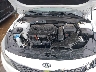 5XXGT4L3XKG****** Repairable 2019 Kia Optima in Oklahoma City