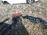5TFPC5DB3RX****** Wrecked 2024 Toyota Tundra Hybrid in Tennessee State