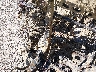JKAWTCF13SB****** Repairable 2025 Kawasaki Kwt1000 in Ashland