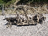 JKAWTCF13SB****** Wrecked 2025 Kawasaki Kwt1000 in Kentucky State
