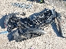 3MVDMBBM1PM****** Wrecked 2023 Mazda CX-30 in Wisconsin State