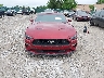 1FA6P8TH7K5****** Wrecked 2019 Ford Mustang in Kentucky State