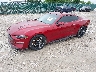 1FA6P8TH7K5****** Used and Repairable 2019 Ford Mustang in Bowling Green