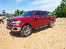 1FTEW1E4XKK****** Used and Repairable 2019 Ford F-150 in Springfield